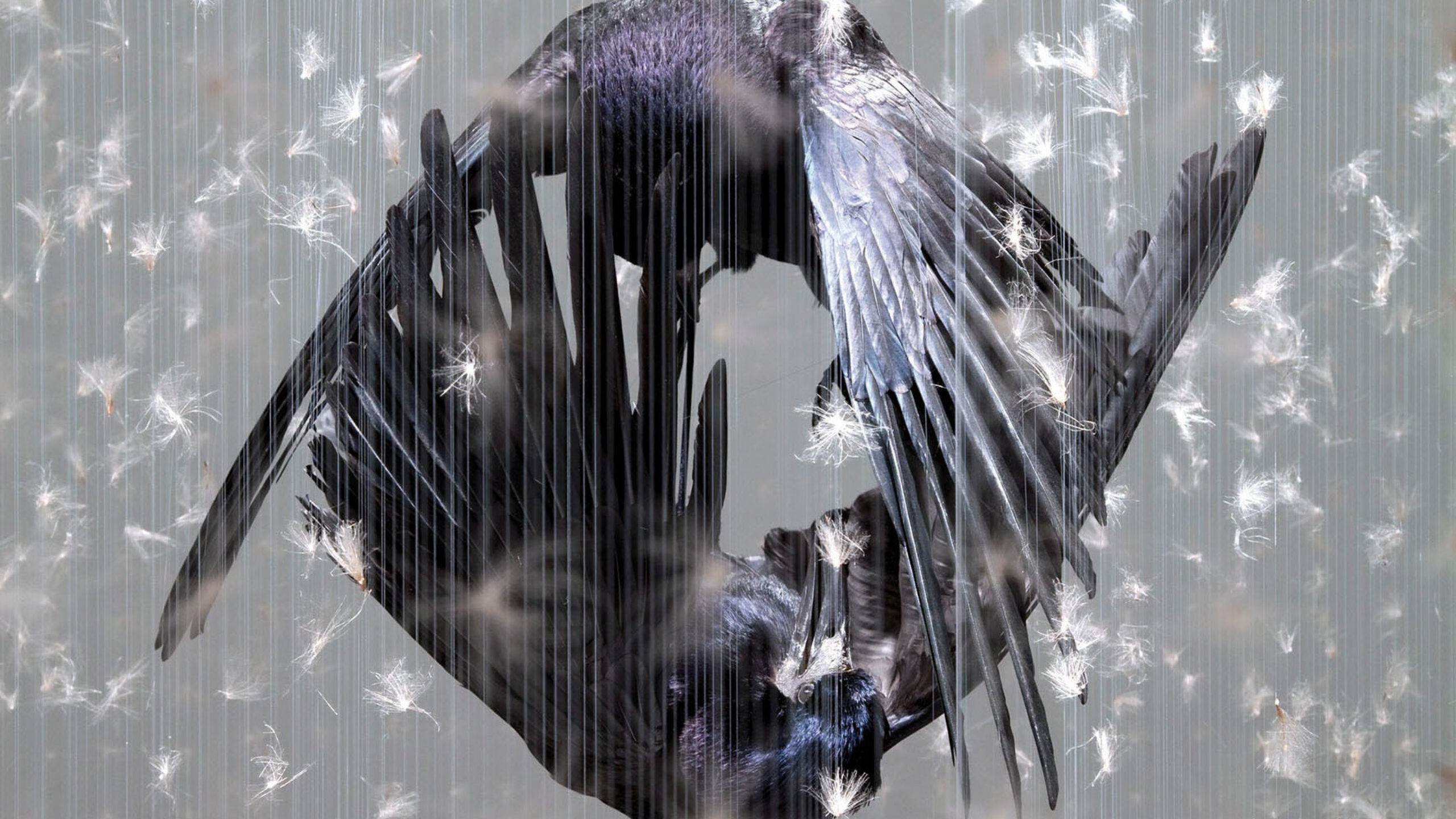 Morgan Claire Throe 2010 Teaser