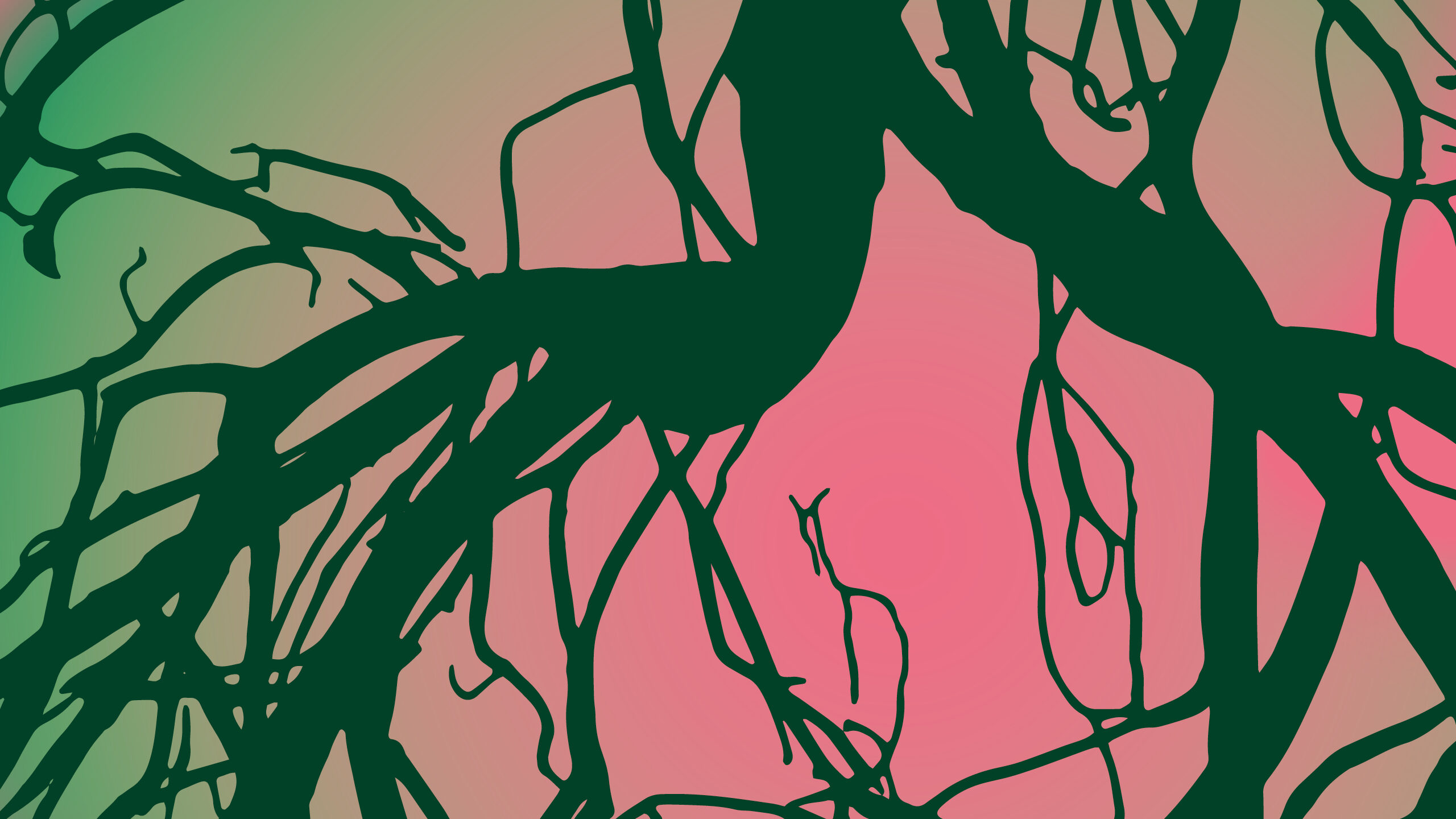 Msh 2560X1600 Waelder Webbanner