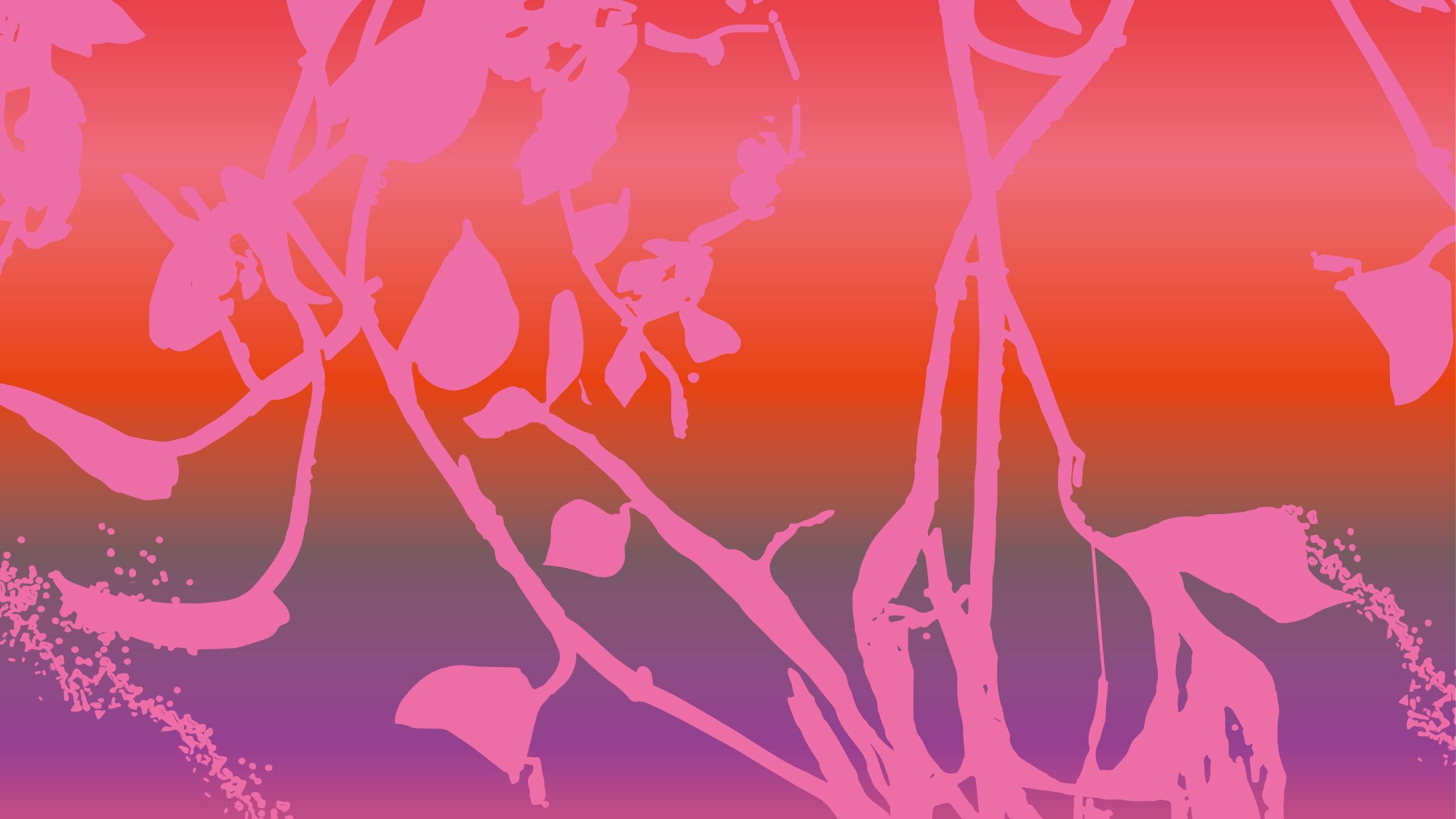 250128 Msh Webseite Unter Pflanzen 2560X1600Px3